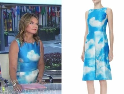 The Today Show August 2019 Savannah Guthrie S Blue And White