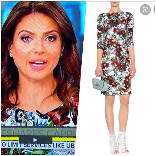 Bianna Golodryga Clothes, Style, Outfits Worn On TV Shows | Shop Your TV