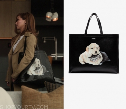 balenciaga dog cat bag