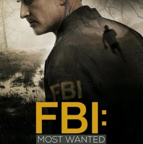 FBI: Most Wanted Fashion, Clothes, Style and Wardrobe worn on TV Shows ...