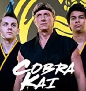 Quiz de series: Cobra Kai Karatê 1ª a 3ª Temporada