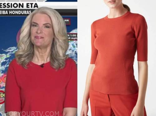 Fox and Friends: November 2020 Janice Dean's Red Short Sleeve Sweater ...