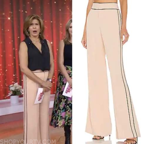 The Today Show: December 2022 Hoda Kotb's Pink and Black Side Stripe ...