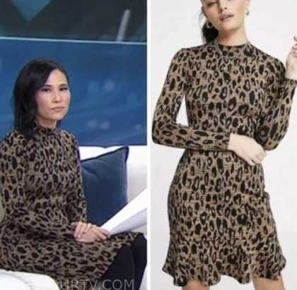 The Today Show: February 2023 Vicky Nguyen's Tan Animal Print Dress ...