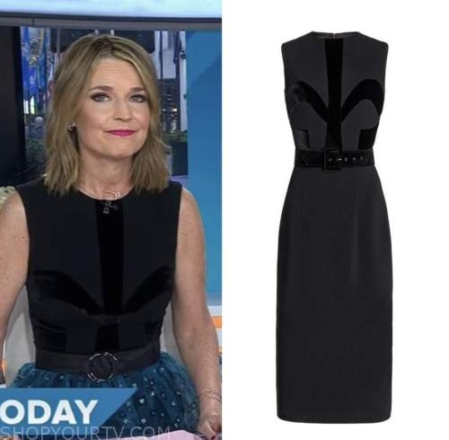 The Today Show: March 2023 Savannah Guthrie's Black Velvet Panel Sheath ...