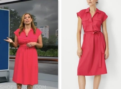 CBS Mornings: July 2023 Stephanie Abrams's Pink Shirt Dress | Shop Your TV