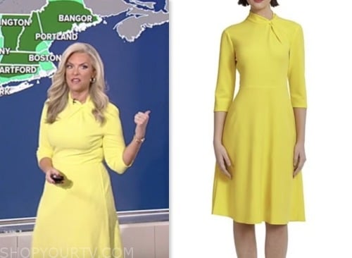 Fox and Friends: July 2023 Janice Dean's Yellow Twist Neck Flare Dress ...