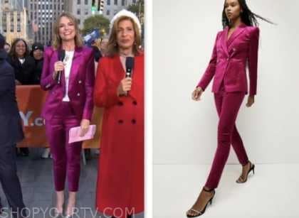 The Today Show: November 2023 Savannah Guthrie's Pink Velvet