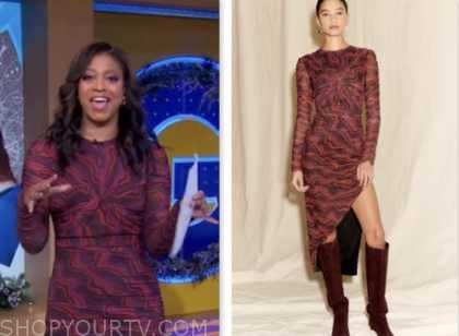 Good Morning America: December 2023 Morgan Norwood's Pink Printed Dress ...