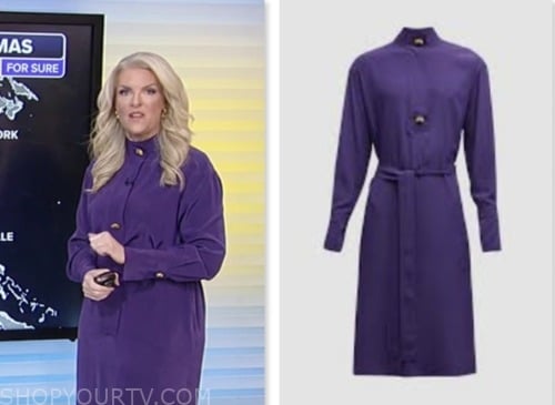 Fox and Friends: December 2023 Janice Dean's Purple Silk Shirt Dress ...