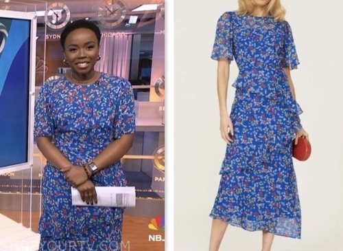 NBC News Daily: December 2023 Zinhle Essamuah's Blue Floral Dress ...