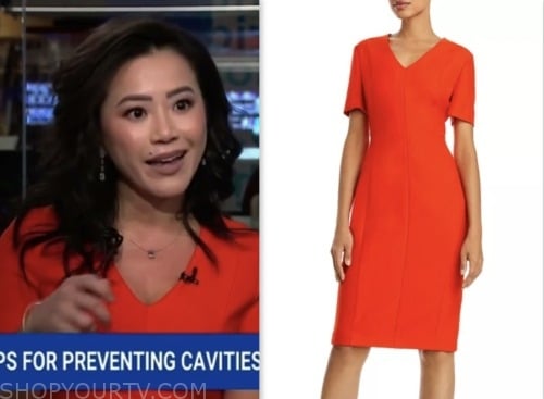 Nbc News Daily: January 2024 Dr. Sharon Huang's Red V-neck Sheath Dress 