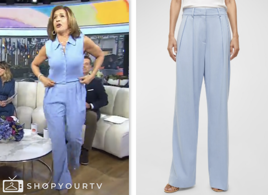 The Today Show: March 2024 Hoda Kotb's Light Blue Pleated Pants | Shop ...